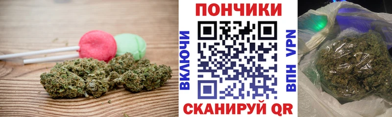 дарнет шоп  Черкесск  Cannafood марихуана 