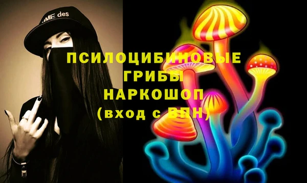 крисы Алексин
