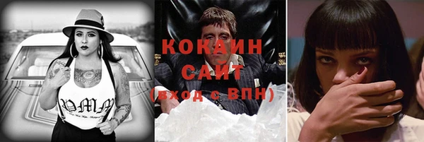 ГАЛЛЮЦИНОГЕННЫЕ ГРИБЫ Кодинск
