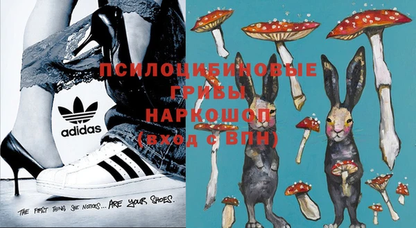 экстази Козловка